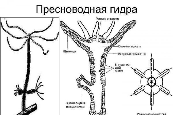 Kraken рабочая ссылка 2025