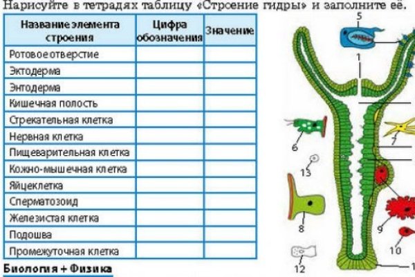 Ссылка кракен магазин